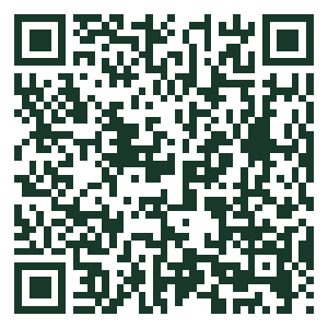 QR code for New Caribe Point