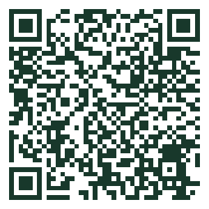QR code for Playa 506