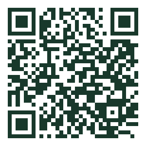 QR code for Rio Home