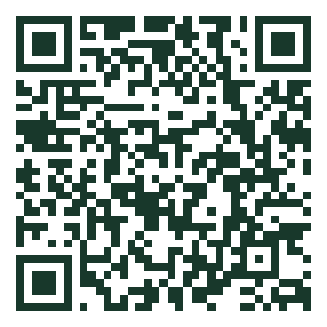 QR code for Soulsurfer
