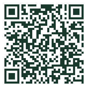 QR code for The Point Smash Burgers